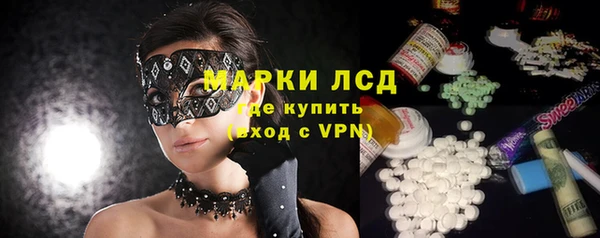 шишки Абаза