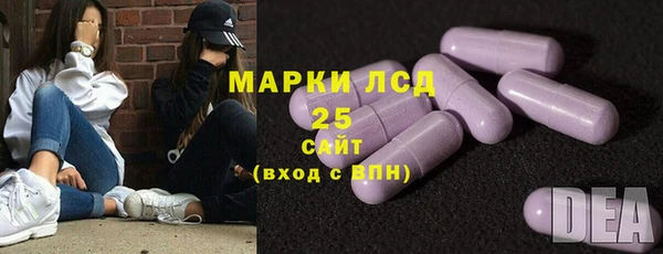шишки Абаза