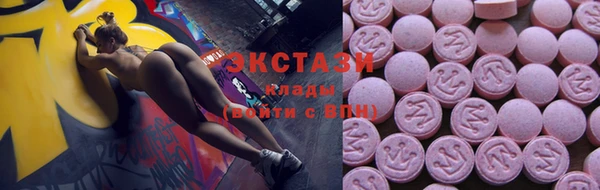 стаф Алексин