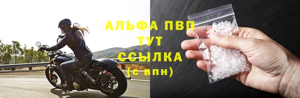 шишки Абаза