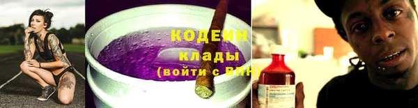 шишки Абаза