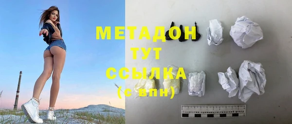 стаф Алексин