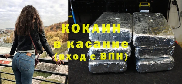 стаф Алексин